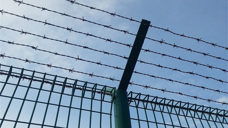 果園農田圈地護欄網18631858321