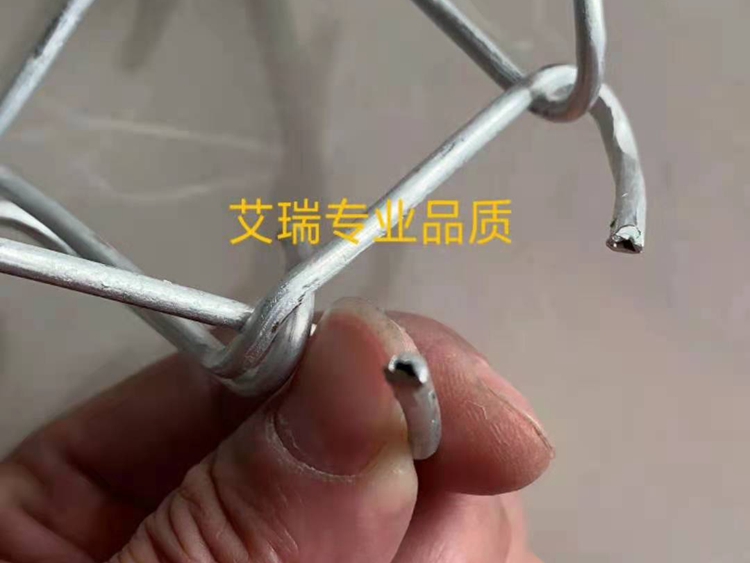 細節展示